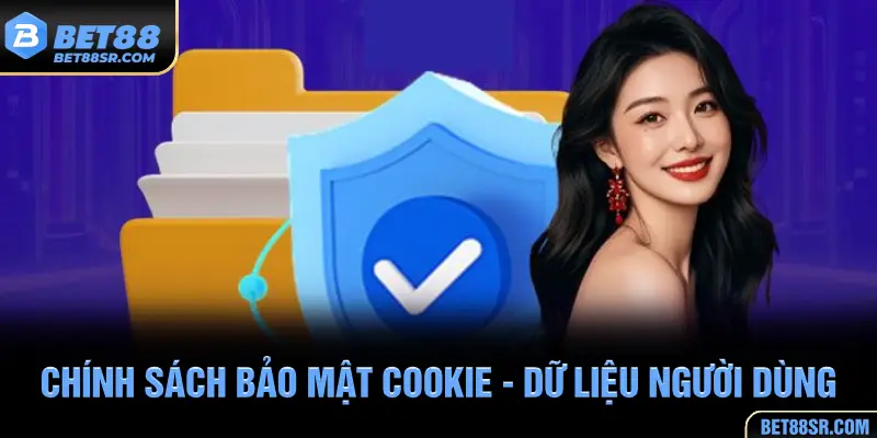 Chính sách bảo mật cookie và dữ liệu người dùng